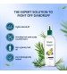 Himalaya Anti-Dandruff Hair Oil Tea Tree & Rosemary 100ml